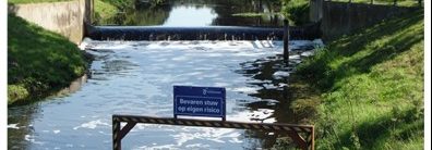 Boorn & Boerschop 2020-03: De Bornse beek. De aderen van een waterlichaam nader beschouwd