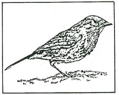 Boorn & Boerschop 1995-01: VROOGER 2 en Voorheen/Van Wezel