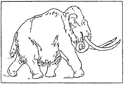 Boorn & Boerschop 1996-02: VONDST MAMMOETSKELET IN BORNE